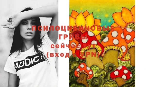 стаф Няндома