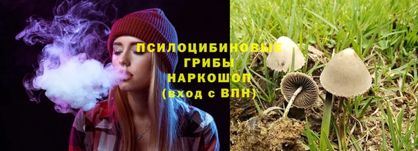 дурь Нязепетровск