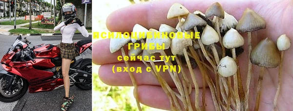 стафф Нягань