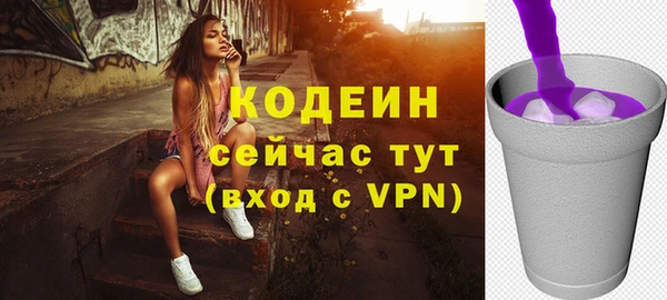 стаф Няндома