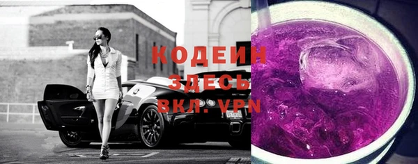 стаф Няндома