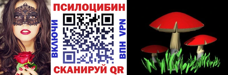 Галлюциногенные грибы ЛСД наркошоп Шали